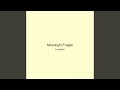 Moonlight Fragile