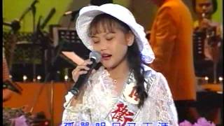 明日又天涯 1994.07.03 王壹珊 第14關