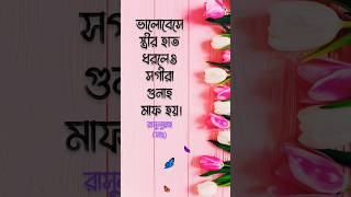 স্ত্রীর হাত ধরলে সগীরা শুনাহ মাফ ❤💛|| হাদিস || Hadith || #shorts #viral