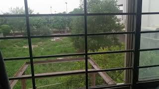 Lovely Weather - Kamal Mausam - MUST Vlogs