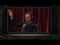 is elon the answer to government efficiency joe rogan u0026 chamath palihapitiya