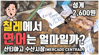 칠레 수산시장ㅣ산티아고 여행지 중앙시장ㅣ메르까도 센트랄 물가ㅣ연어는 얼마일까?ㅣ남미 맛집 투어온 성룡 아니냐구?ㅣ시장투어 2탄