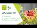 ESG Academy: Biodiversity – Incorporating nature and TNFD into your strategy