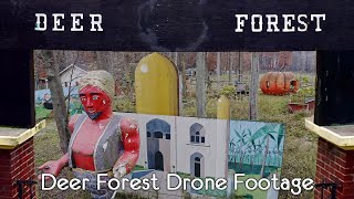 Deer Forest in Coloma Michigan Drone Footage with the Mavic Pro 2