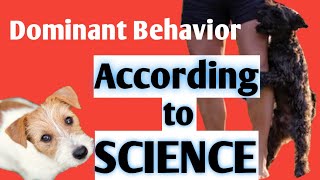 Is Your Dog Asserting Dominance? - Understanding Dominant Dog Behavior