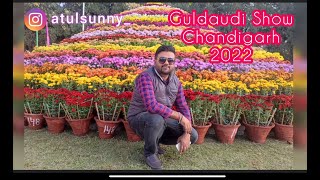 Guldaudi Show | Chrysanthemum Show 2022 Sector 33 Chandigarh #flowers #guldaudi