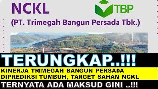 TERUNGKAP.!!! Kinerja Trimegah Bangun Persada Diprediksi Tumbuh, Target Saham NCKL Justru Dipangkas