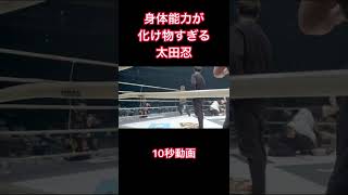 身体能力が化け物すぎる太田忍 #shorts #rizin