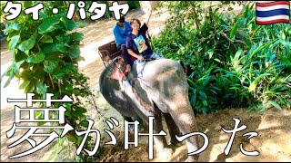 【初体験】パタヤでのゾウ乗りが楽しかったぞう【タイ旅行】