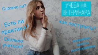 Учеба на ветеринара/ОТВЕТЫ НА ВОПРОСЫ