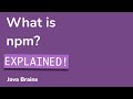 What is npm - Node.js Basics [12] - Java Brains