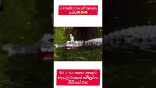 අම්මට හු#න්න හු#තෝ 😂😂🤣🤣 | saththu athale |sinhaa meme| saththu meme sinhala #srilankameme #viralvide