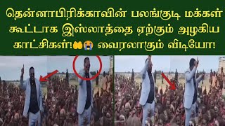 தென்னாபிரிக்காவின் பலங்குடி மக்கள் கூட்டாக இஸ்லாத்தை ஏற்கும் அழகிய காட்சிகள்!🤲😭 வைரலாகும் வீடியோ!