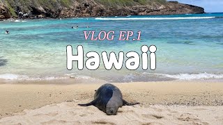 ENG CC SUB) Hawaii vlog EP1 | Hawaii 5night Trip vlog, Hanauma Bay, Hawaii Cost-effective Travel