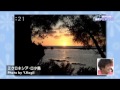 ありがとッ！湘南アクアリウム 2015年5月19日