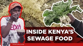 News Kenya Today: Kenya's Sewage Food - All You Need to Know About It | Tuko TV