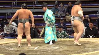 天照鵬 vs 北大地【大相撲令和5年11月場所】千秋楽  2023/11/26  [Sumo] DAY15 Nov 2023 現地観戦 九州場所