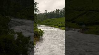 Valparai Koolangal River #travel #nature #touristdestinations #valvalley #river #monsoon