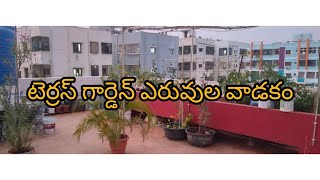 వంటగదిలోని వ్యర్థాలతో సేంద్రీయ ఎరువు తయారీ | చక్కని పువ్వులు 🌹, రసభరిత ఫలాలకు 🍋 ☺️