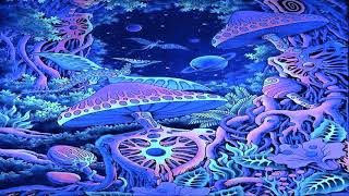 VinShu - Mushroom Planet 2017 [Goa Trance Mix] ᴴᴰ