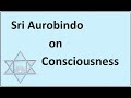 Sri Aurobindo on Consciousness