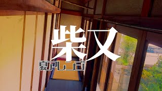 柴又　さっぱり夏アレンジ/ shibamata arrange