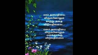 #மரம் #அமைதி #காற்று #மனம் #shortsfeed #tamilquotes #வாழ்க்கை #shorts