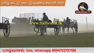 யாழ் வட்டு மாட்டுவண்டி சவாரி 2021 video