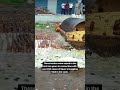 the andhra pradesh police laid over 62 000 liquor bottles on a road and got them razed to pulp.