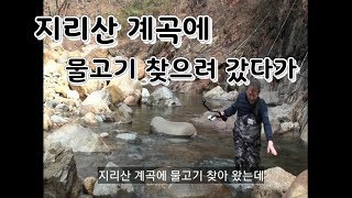 지리산 물고기 찾으려 갔다가... 아름다운 계곡