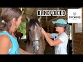 Guessing Horses by Touch! 🐎 - How well do I know the horses in my barn when blindfolded ⁉️