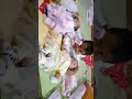 Anak Kembar Dira Nia |SAAT MASIH BAYI#Shorts