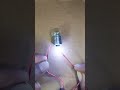 high voltage on 12 volt bulb experiment electric