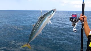 屋久島の堤防で釣れた魚をわらしべ長者釣りしたら２mを超える巨大魚が食って来た!!!!【屋久島4夜】