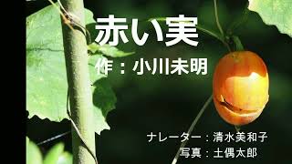 日本昔話「赤い実」小川未明　女性の朗読