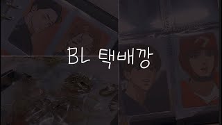 BL만 보는 오타쿠 택배깡 | BL | 택배 굿즈깡 | 재이미샵 | 새디스틱 뷰티 외전B | 허니트러블 | 밍과팝업 | 어나더 핑크