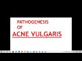 Lecture-80: Acne Vulgaris. Rook's chapter 90.