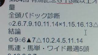 12/22　中山11R 有馬記念GⅠ3歳以上オープン（国際）（指定）定量