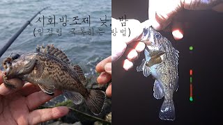 20220527 시화방조제 밤 우럭 찌 낚시(밑걸림 극복하는 방법)