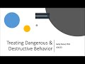 Autism Basics Webinar Series:  Treating Disruptive Behavior