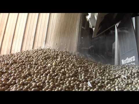 How many pounds of grain are in a bushel?