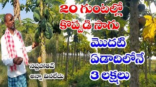 20 గుంటల్లో కొప్పడి సాగు |ఏడాది లో 3 లక్షల ఆదాయం| Papaya|