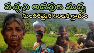 unity tribal villagel |గిరిజన గ్రామం అందాలు #araku people #telugu#forest#wildlife #hill#