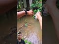 React ❗❗🗣️ mancing casting menggunakan umpan spoon di Spot sungai kecil #mancingikan #fishing