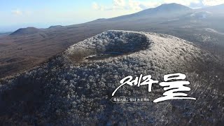 KCTV 탐사 프로젝트 '제주 물' - 1편 제주 물, 봄의 생명을 깨우다