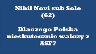 Nihil   Dlaczego Polska nieskutecznie walczy z ASF