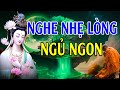 Mỗi Tối Nghe Lời Phật Dạy NHẸ LÒNG Tiêu Tan Mọi Phiền Muộn Khổ Đau Trong Cuộc Sống #Rất Hay