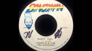 HORACE \u0026 THE NEW EXPERIENCE - Night Owl [1972]