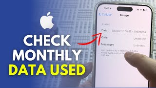 How To Check Monthly Data Usage On iPhone