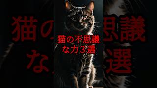 猫の不思議な力3選 #都市伝説 #怖い話 #怪奇 #shorts